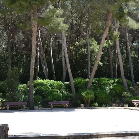 2 Pièces Proche - 4 Pers. Appartement Six-Fours-les-Plages