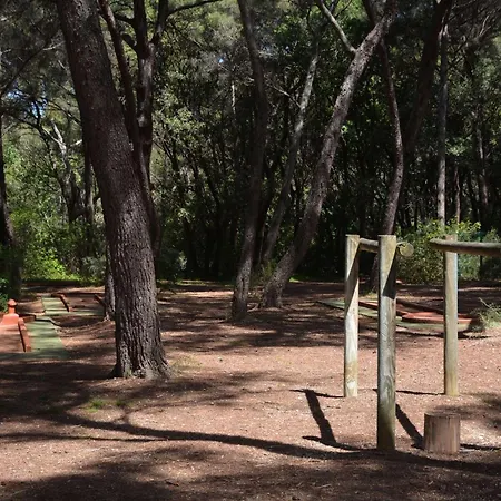 2 Pièces Proche - 4 Pers. *